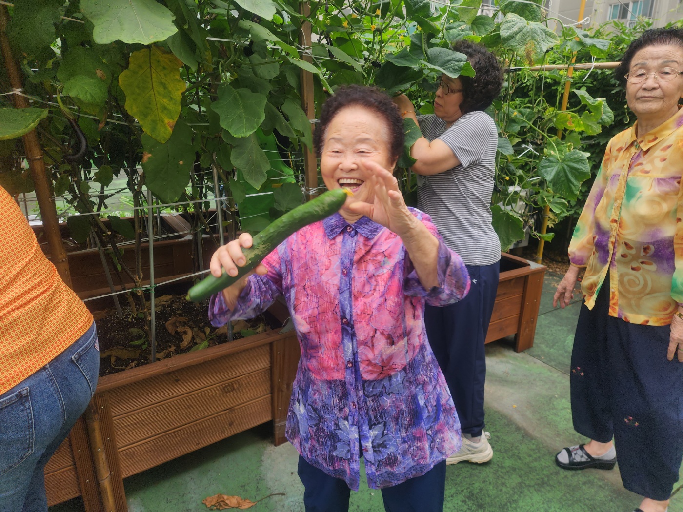 내 손으로 가꾼 건강한 밥상