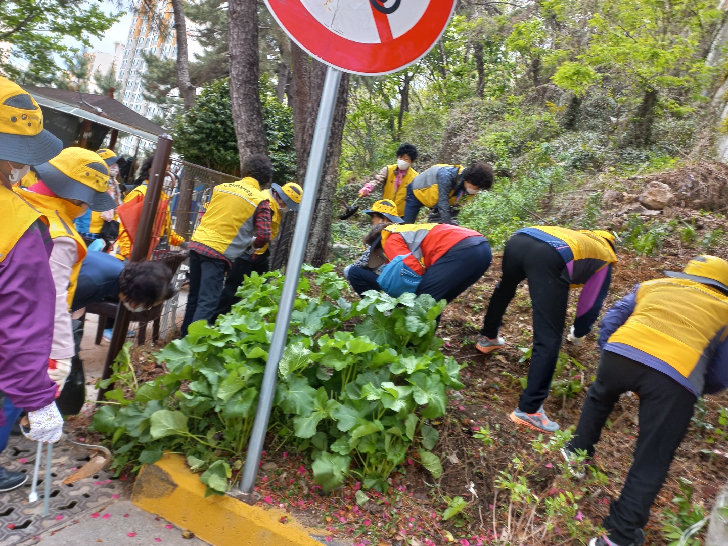 반여2동 센텀봉사단 화단가꾸기 활..