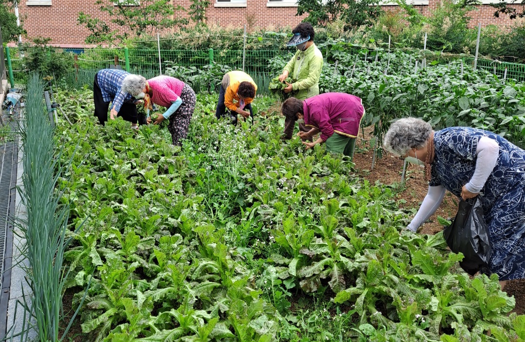 정관읍분회 LH5단지 남, 여 경..